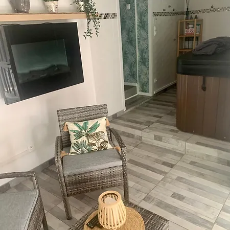 Διαμέρισμα Chez Sophie, Avec Jacuzzi Et Salle Cinema *