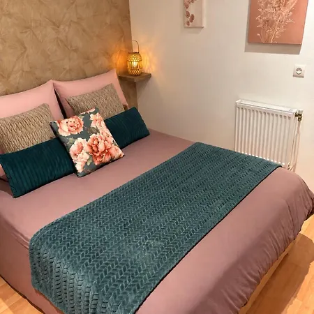 Διαμέρισμα Chez Sophie, Avec Jacuzzi Et Salle Cinema *